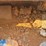 2016-caterpillar-259d-image-33