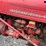international-cub-image-9