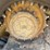 2020-caterpillar-299d3-xe-image-14