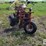 international-720-image-6