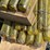 land-honor-assorted-universal-bucket-pin-image-3