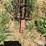 westfield-100-61-auger-image-9