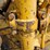 caterpillar-d4d-image-92