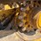 caterpillar-259d-image-9