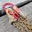 #412-•-new-landhonor-lhr-g80-7'-double-chain-sling-image-3