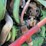 john-deere-3010-image-26