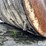 15,000-gallon-(approx.)-steel-liquid-feed-storage-tank-image-18