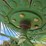john-deere-702-image-16
