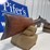 antique-winchester-model-1892-.25-20-image-2
