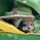 2013-john-deere-635fd-image-34