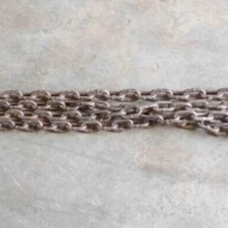 20' Chain w/ 1 Hook