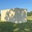 #100-•-one-trip-20ft-shipping-container-image-3