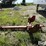 scraper-hitch-image-4