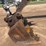 2004-takeuchi-tb175-image-9