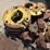 john-deere-6000-image-12