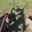 **sold-onsite-only---no-online-bids-will-be-accepted**-antique-farm-equipment-image-3