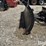 loegering-v-8000-8'-hydraulic-skid-steer-blade-image-18