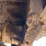 2016-kleeman-ms192-mobile-screen-image-35