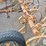 massey-ferguson-12-image-8