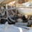 2005-freightliner-fl70-image-5