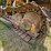 caterpillar-d4d-image-63