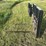 pallet-forks-image-2