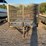 #3060-•-16'-bumper-pull-utility-trailer-image-2