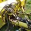 degelman-5900-image-13
