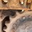 2016-kleeman-ms192-mobile-screen-image-18