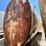 15,000-gallon-(approx.)-steel-liquid-feed-storage-tank-image-6