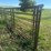 **sold-onsite-only---no-online-bids-will-be-accepted**-livestock-equipment-image-14