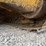 2014-komatsu-d39pxi-23-image-49
