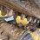 2018-caterpillar-239d-image-14