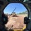 caterpillar-259d3-image-34
