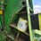 1988-john-deere-530-image-17