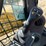 2019-caterpillar-236d3-image-26