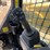 2024-caterpillar-255-skid-steer-image-29