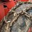 timberjack-230-image-16