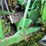john-deere-8400-image-9
