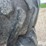 firestone-23-degree-all-traction-radial-18.4-42-clamp-duals-image-13