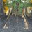 john-deere-820-image-14