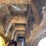 caterpillar-259d3-image-12