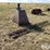 electric-single-speed-horse-walker-image-3