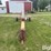 westfield-wr100-31-auger-image-2