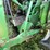 john-deere-8400-image-10