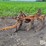 massey-ferguson-3-image-1
