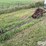 international-1000-image-3