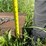yard-rake-image-5