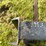pallet-forks-image-9