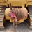 2015-caterpillar-d6t-lgp-image-23